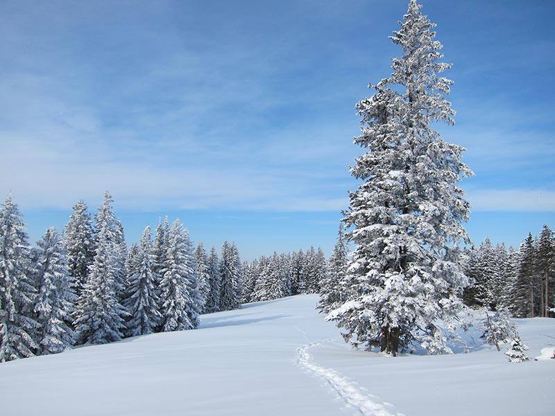 Winterlangschaft